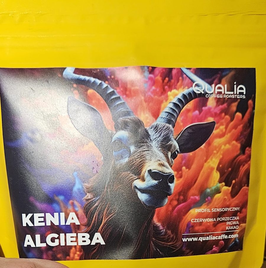 Kenia – Algieba