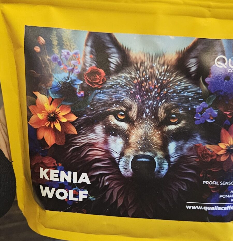 Kenia – Wolf